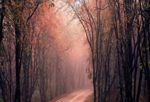 开云体育平台APP-亚平宁月光下的叹息：当蓝色浪漫遇冷酷高卢铁蹄