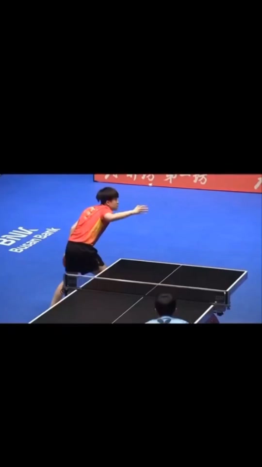 瑞典队完胜韩国队，许昕高光表现