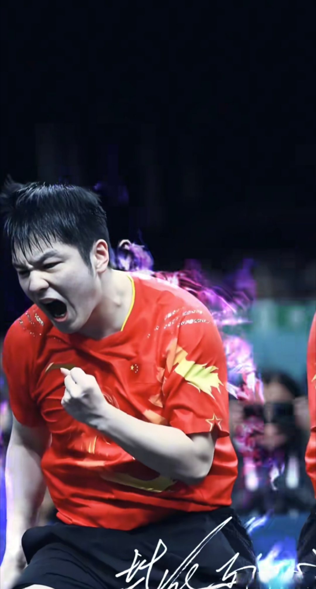 开云体育APP下载-关于奥地利队碾压德国队，樊振东统治全场的信息