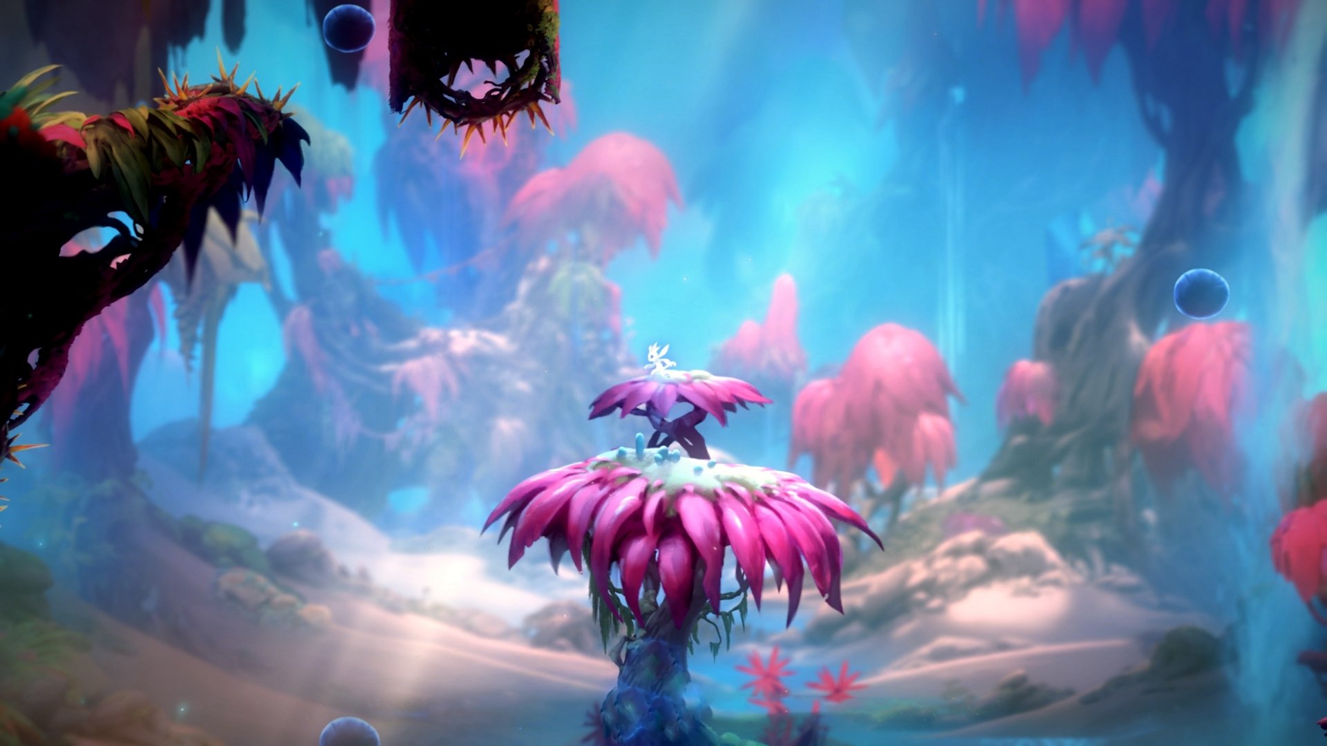 心跳为证，阿斯顿马丁最后一圈的红色猎杀与塞恩斯的倔强高光