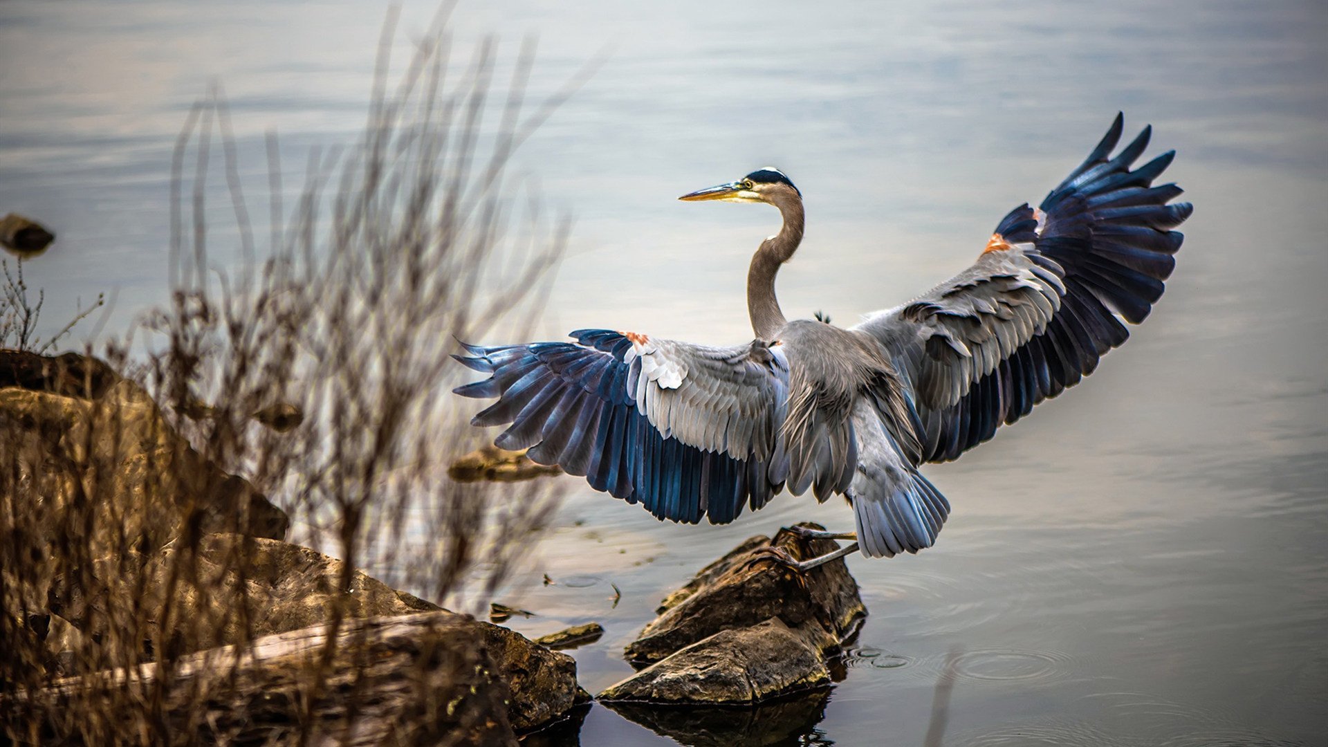 赛道上的外科手术，佩雷兹精准操刀，雷诺以毫厘优势解剖哈斯