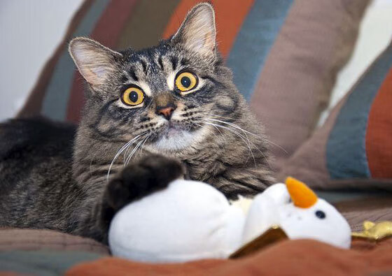 开云体育入口-世纪碰撞！洛杉矶湖人跨联赛强势击败浙江广厦，这场焦点战到底发生了什么？