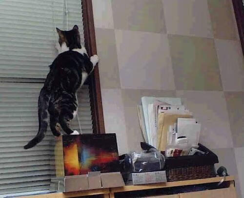 开云体育app-东方烈焰，基耶萨在中国火力的掩护下如何爆发压制利物浦