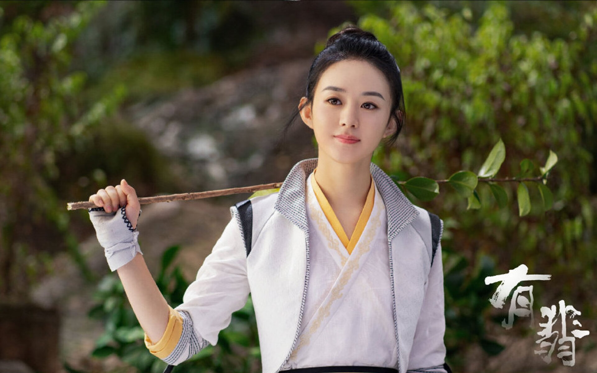 破次元壁的对决,当辽篮字母哥撕裂黄蜂防线