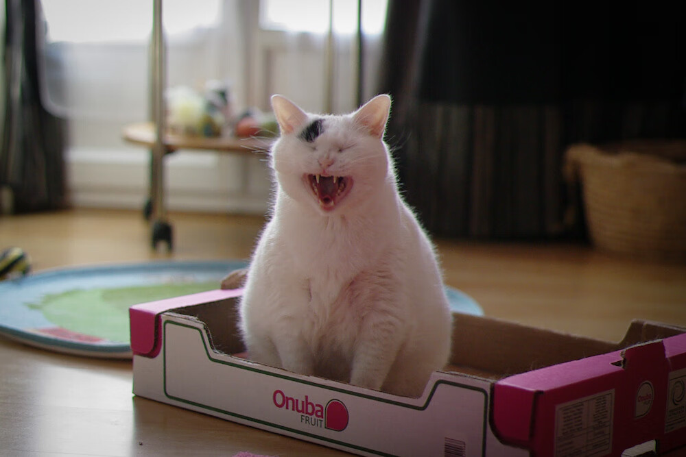 开云体育官网-单节风暴，当穆勒点燃球场，比赛在十二分钟内被重新定义