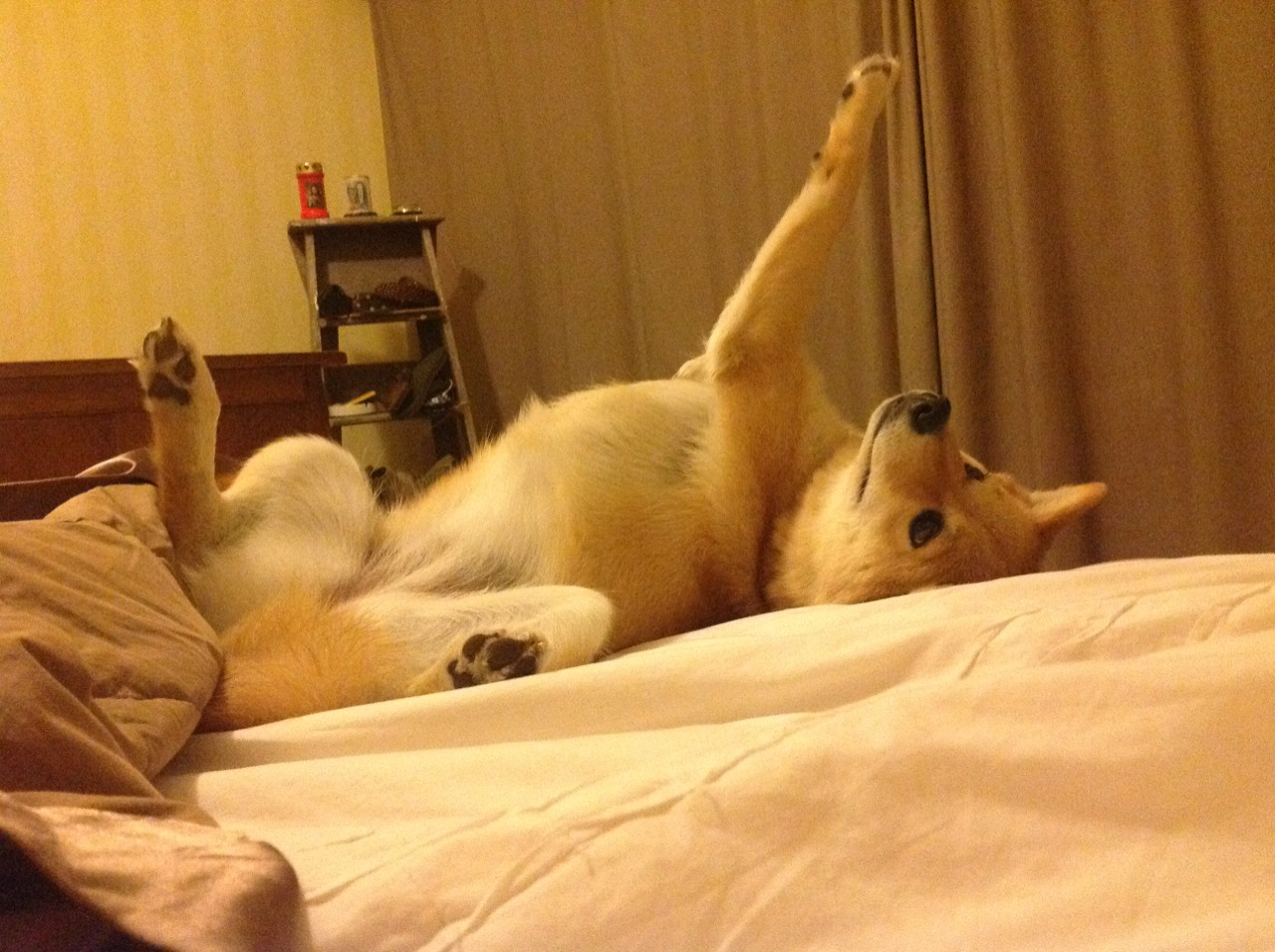 当东方铁罗网遇上天赋异禀，新疆队压路机式防守碾过奇才，文班亚马末节神降难挽败局