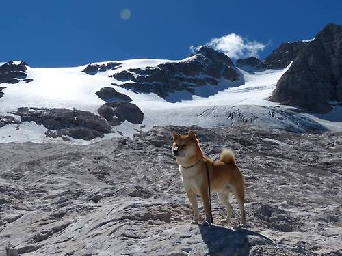 攻守逆转！广厦末节爆发，保罗连送助攻成隐形舵手