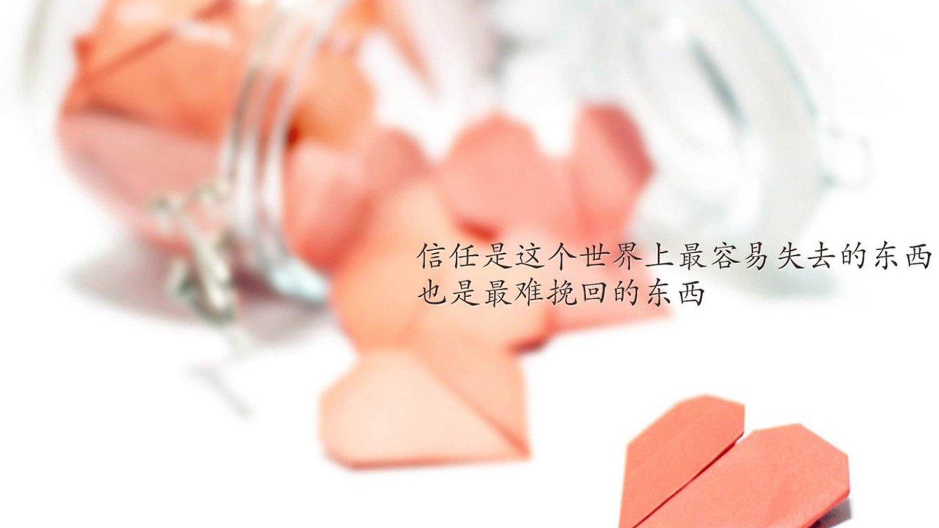 开云体育登录-双子星闪耀之夜，塔图姆50分神迹与森林狼加时韧性的平行交响