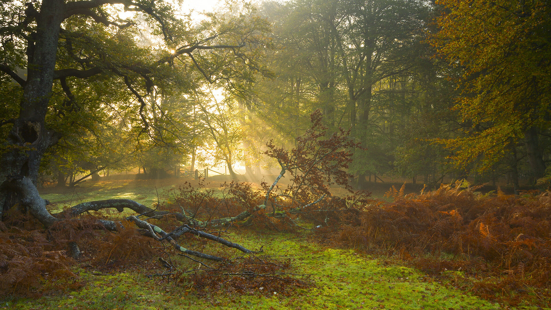 开云体育APP下载-格纳布里撕裂暗夜难阻蓝黑铁流，国际米兰悲怆奏响摩洛哥号角