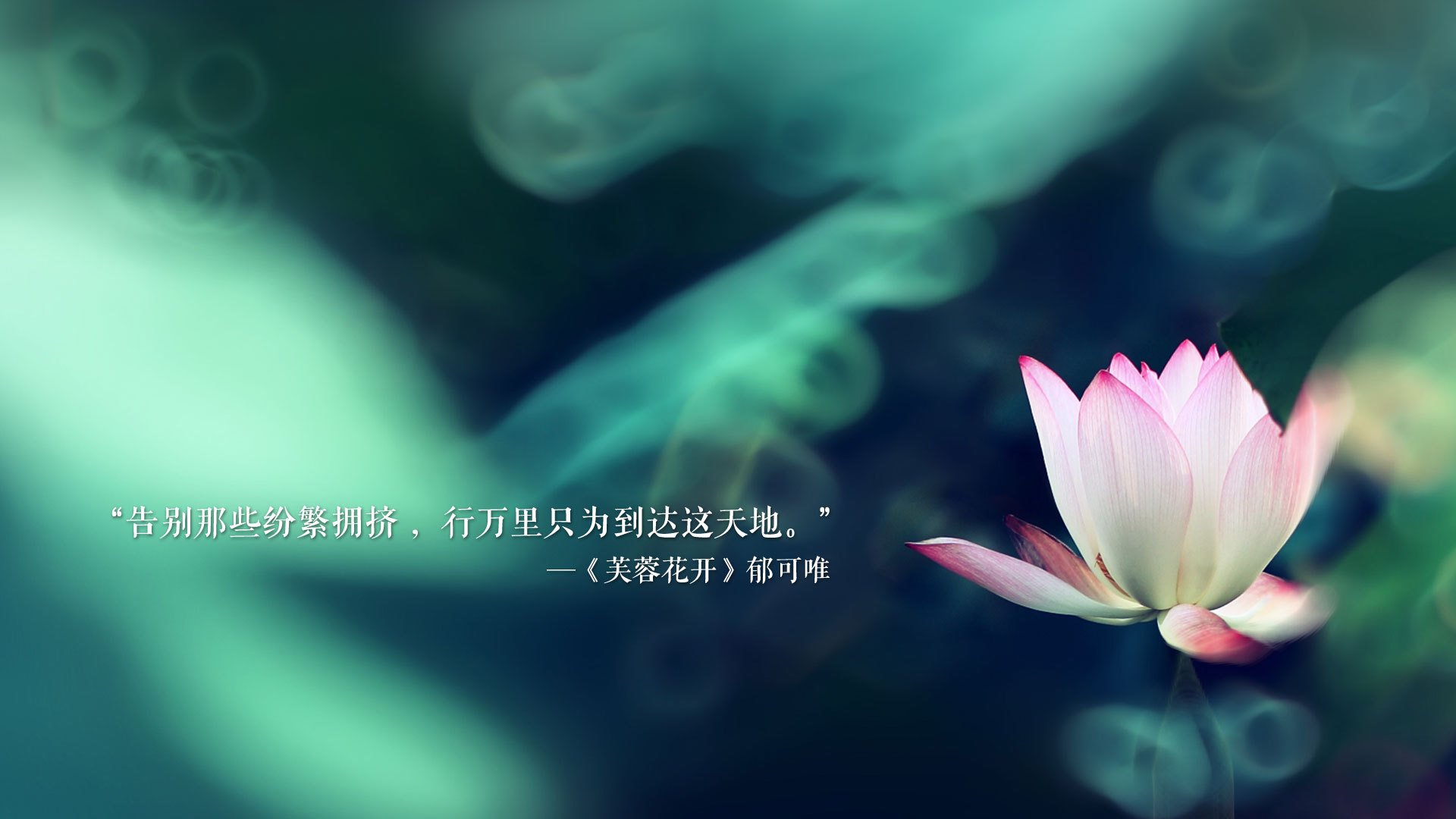 2026世界杯E组风云突变,波兰铁骑踏破葡萄牙黄金战舰,卢卡库天神下凡闪耀全场